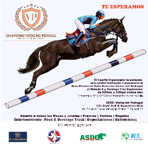International classic equestrian jump Vistas del Pedregal