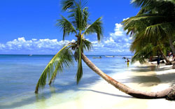 Saona Island