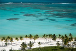 Cabeza de Toro Beach in Punta Cana