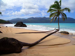 Rincon Beach in Samana
