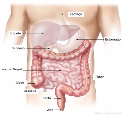 Algunos consejos para los que tienen colon irritable